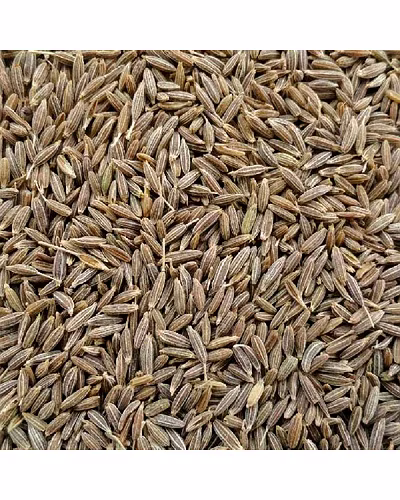 CUMIN SEEDS-12695719