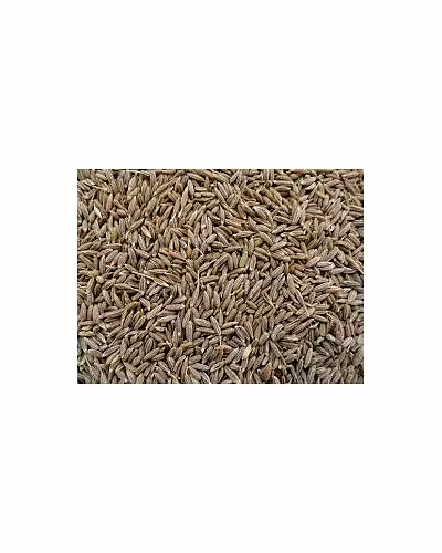 CUMIN SEEDS-2