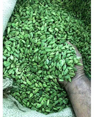 GREEN CARDAMOM-1