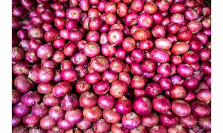 ONIONS
