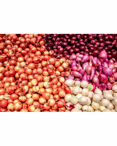 ONIONS-2