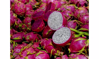 DRAGONFRUIT
