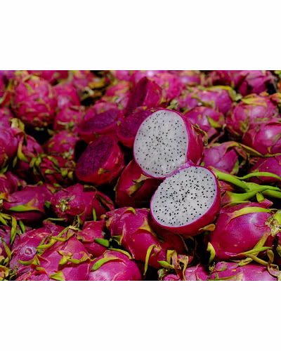 DRAGONFRUIT-12695739