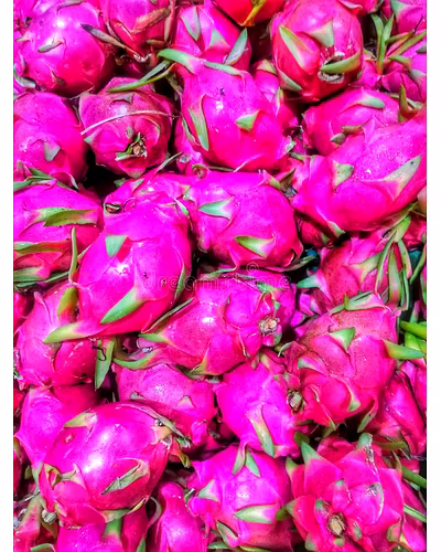 DRAGONFRUIT-1
