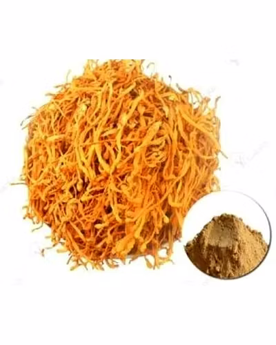 CORDYCEPS MILITARIS-3