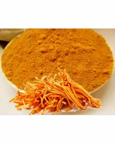 CORDYCEPS MILITARIS-2