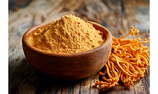 CORDYCEPS MILITARIS