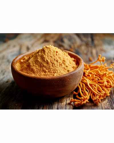 CORDYCEPS MILITARIS-12696099