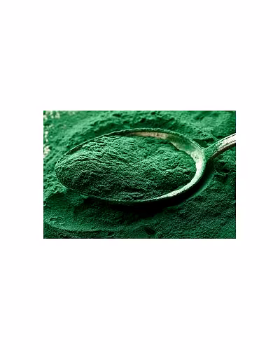 SPIRULINA POWDER-2