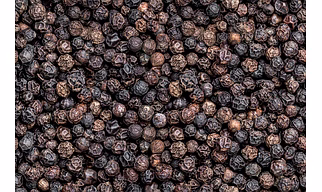 BLACK PEPPER