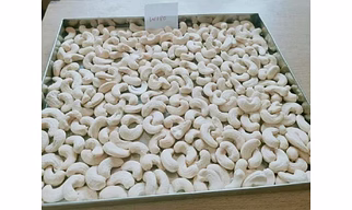W180 CASHEW NUTS