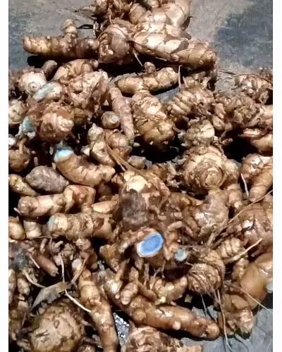 BLACK TURMERIC POWDER-1