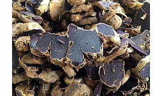 BLACK GINGER