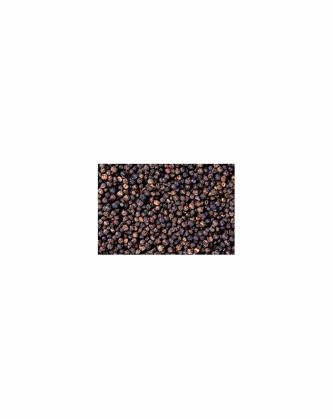 Black Pepper-2