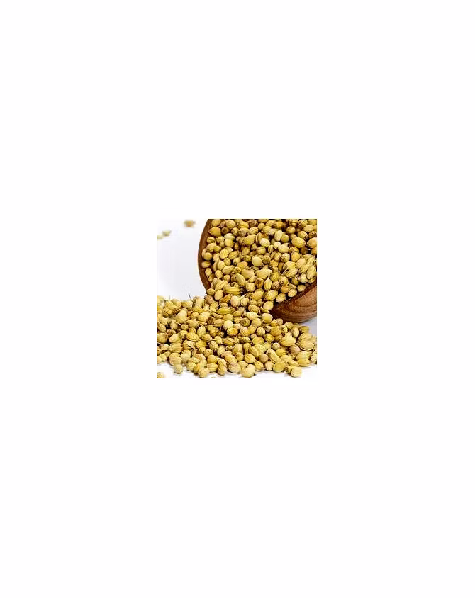 Coriander seed-5