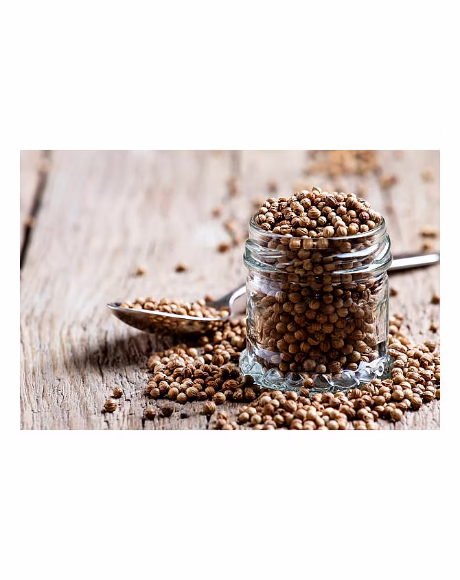 Coriander seed-4