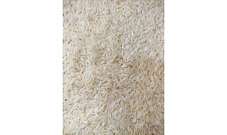 1121 BASMATI RICE