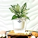 Aglaonema White Plant-Love Garth Pot-White-1-sm