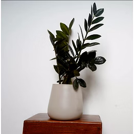 white metal pot