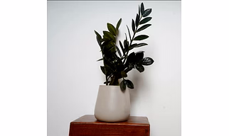 White Metal Pot