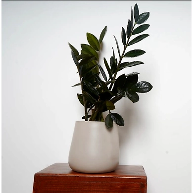White Metal Pot-Pot-White-Metal-1