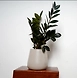 White Metal Pot-Pot-White-Metal-1-sm