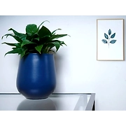 Blue Metal Pot