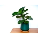 Green Metal Pot-Pot-Green-Metal-3-sm