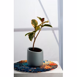 ceramic light grey pot – 4 inch