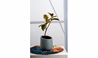 Ceramic Light Grey Pot – 4 Inch