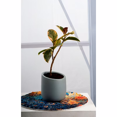 ceramic light grey pot – 4 inch