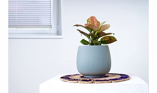 Ceramic Light Blue Pot – 6 Inch