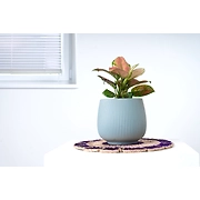 Ceramic Light Blue Pot – 6 Inch