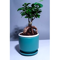 Ceramic Teal Green Pot