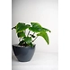 Ceramic Pot-1-sm