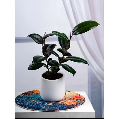 Ceramic White Pot-1