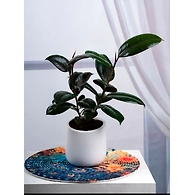 Ceramic White Pot