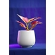 Ceramic Textured White Pot-CeramicTexturedWhitePot-sm