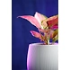 Ceramic Textured White Pot-1-sm