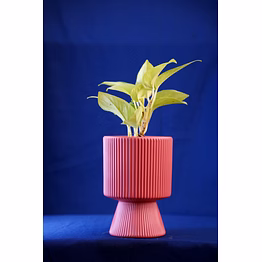 decorative ridged ceramic pot