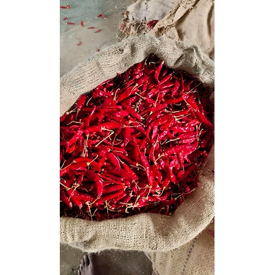 DRY RED CHILLI