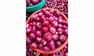 ONIONS