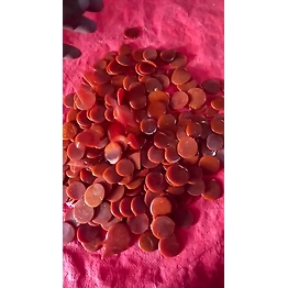 DHALI HOUSE Shellac