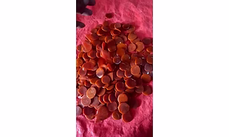 Shellac