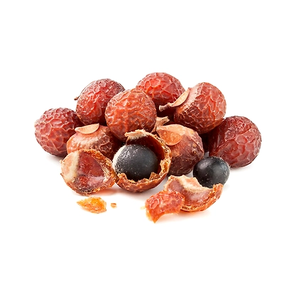 Soapnut