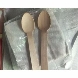 disposable spoon (pack of 100 spoons)
