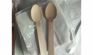 Disposable Spoon (pack of 100 spoons)