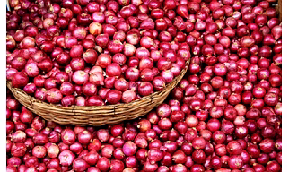 ONION