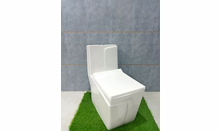 Western Toilet Sheet