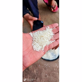 non basmati white rice